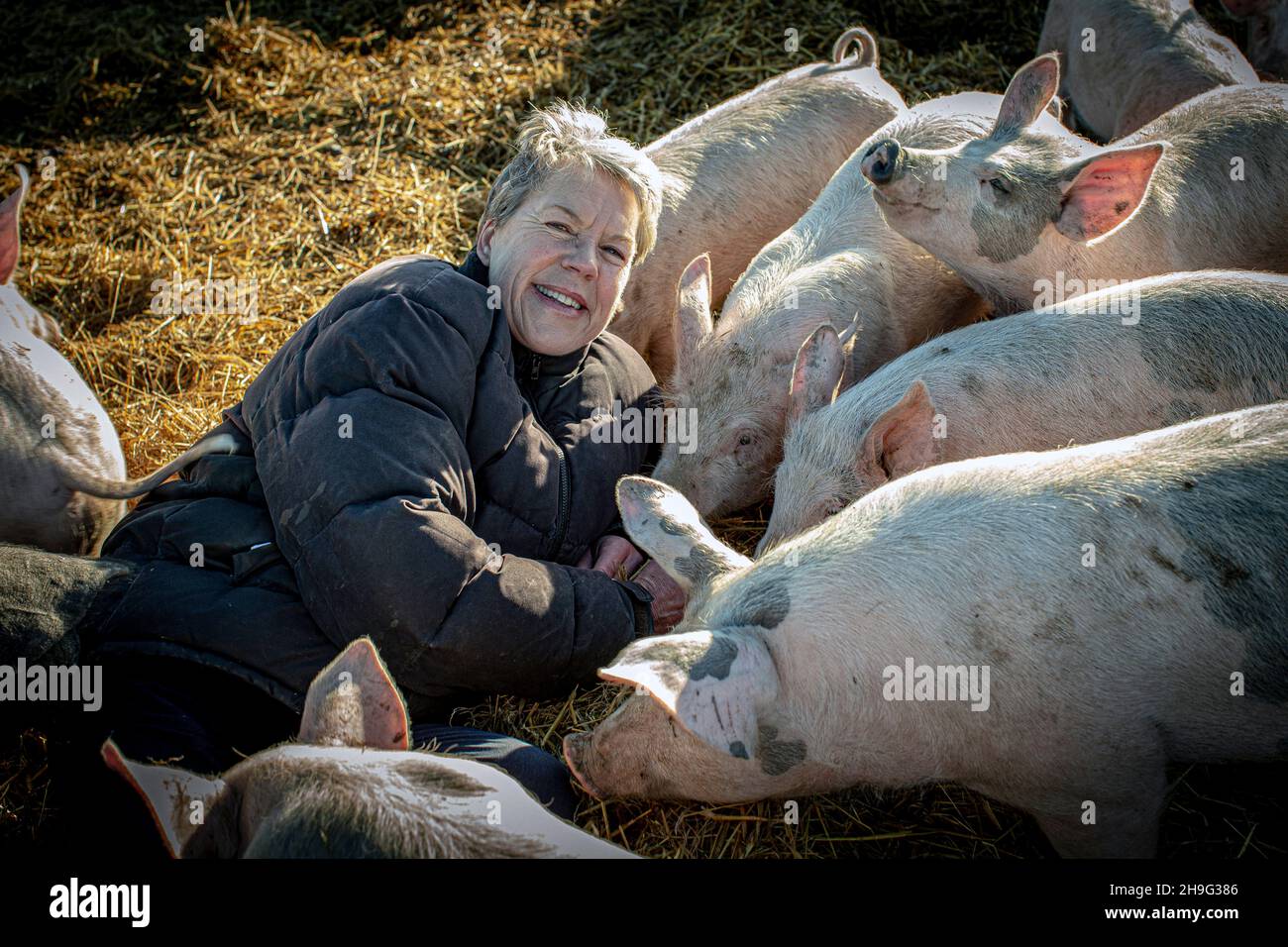 HELEN BROWNING Chief Executive of the Soil Association and organic pig farmer at the Eastbrook farm Bishopstone , UK Stock Photo