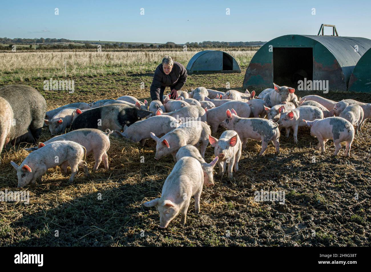 HELEN BROWNING Chief Executive of the Soil Association and organic pig farmer at the Eastbrook farm Bishopstone , UK Stock Photo