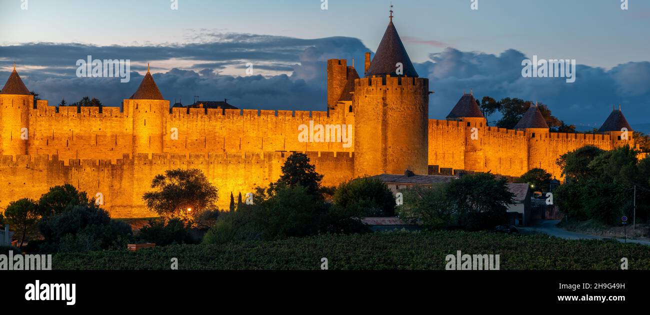 Lighted Carcassonne fortification walls seen from vineyards surrounding the city-Panorama. Stock Photo