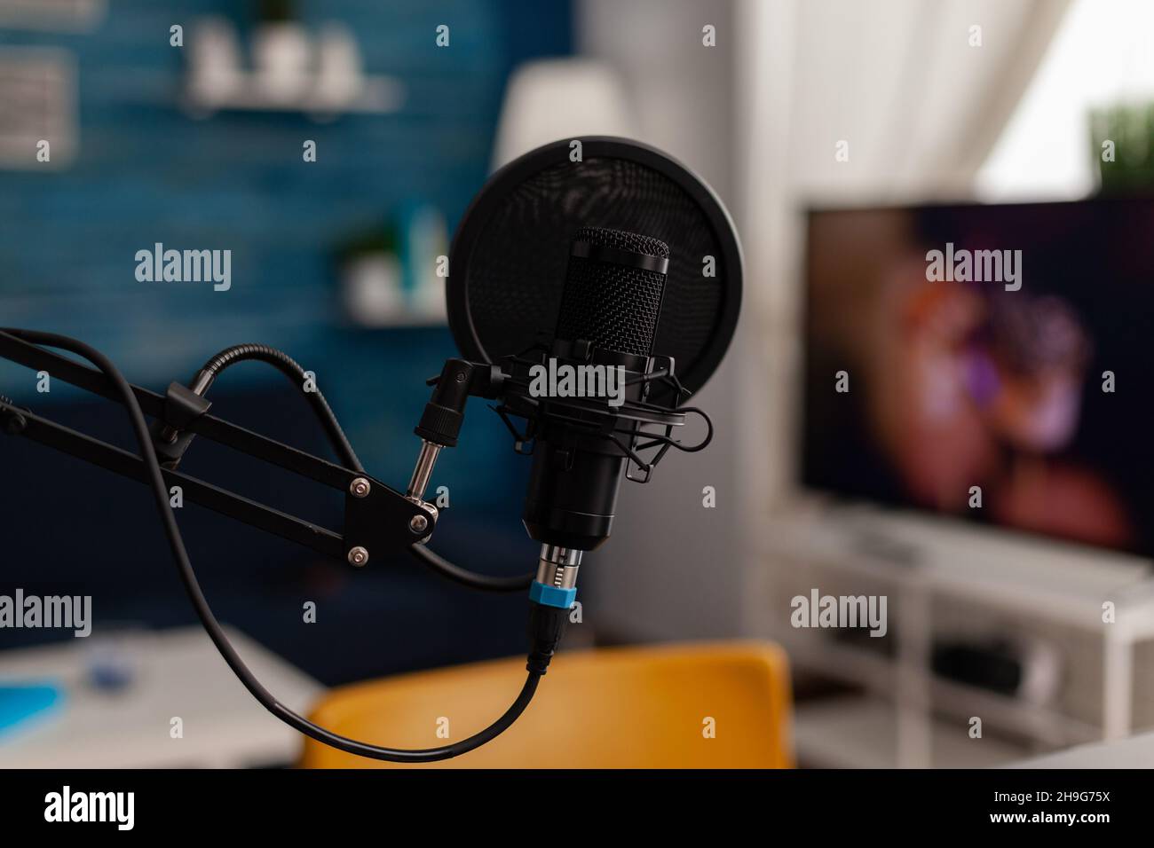 Closeup of recording microphone in home studio. Professional live ...