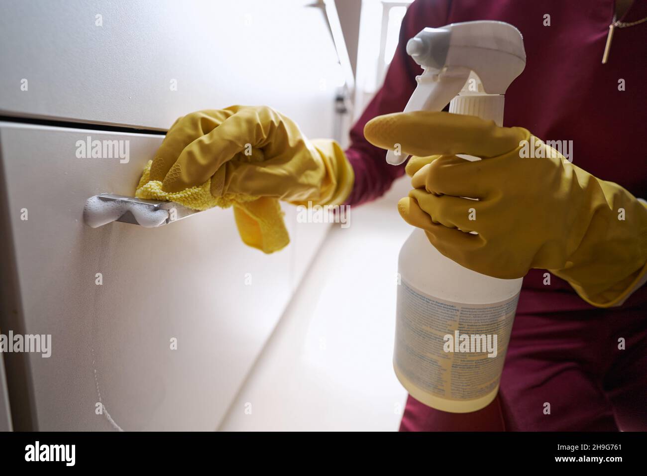 Professional Cleaner Is Cleaning Kitchen Cabinet Handle 2H9G761 