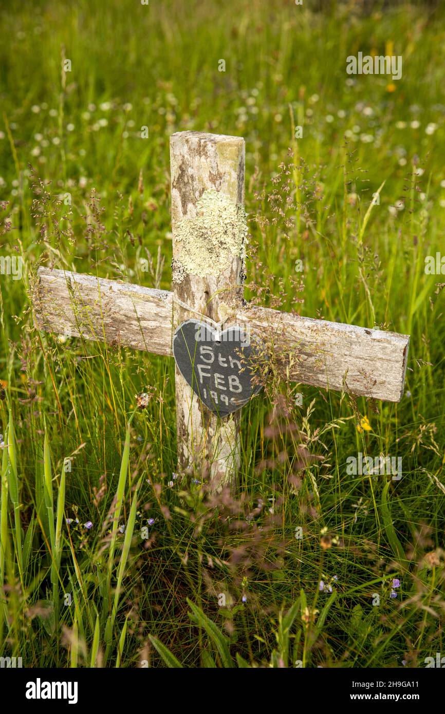 UK, Wales, Pembrokeshire, Manorbier, St James the Great churchyard