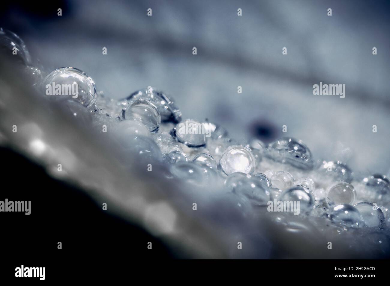 Macro shot of water drops on a blurred background Stock Photo - Alamy