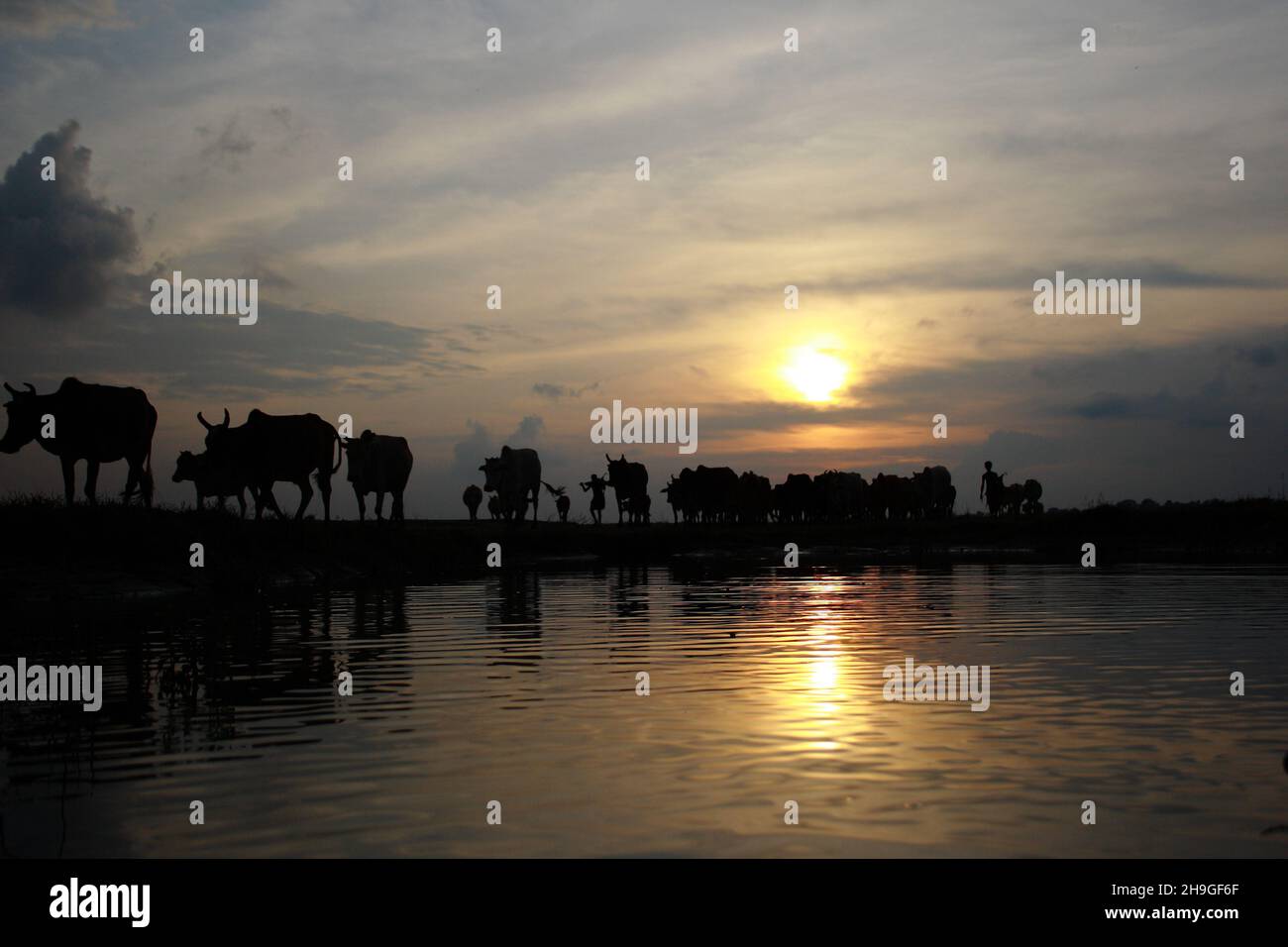 Cowboy landscape hi-res stock photography and images - Alamy