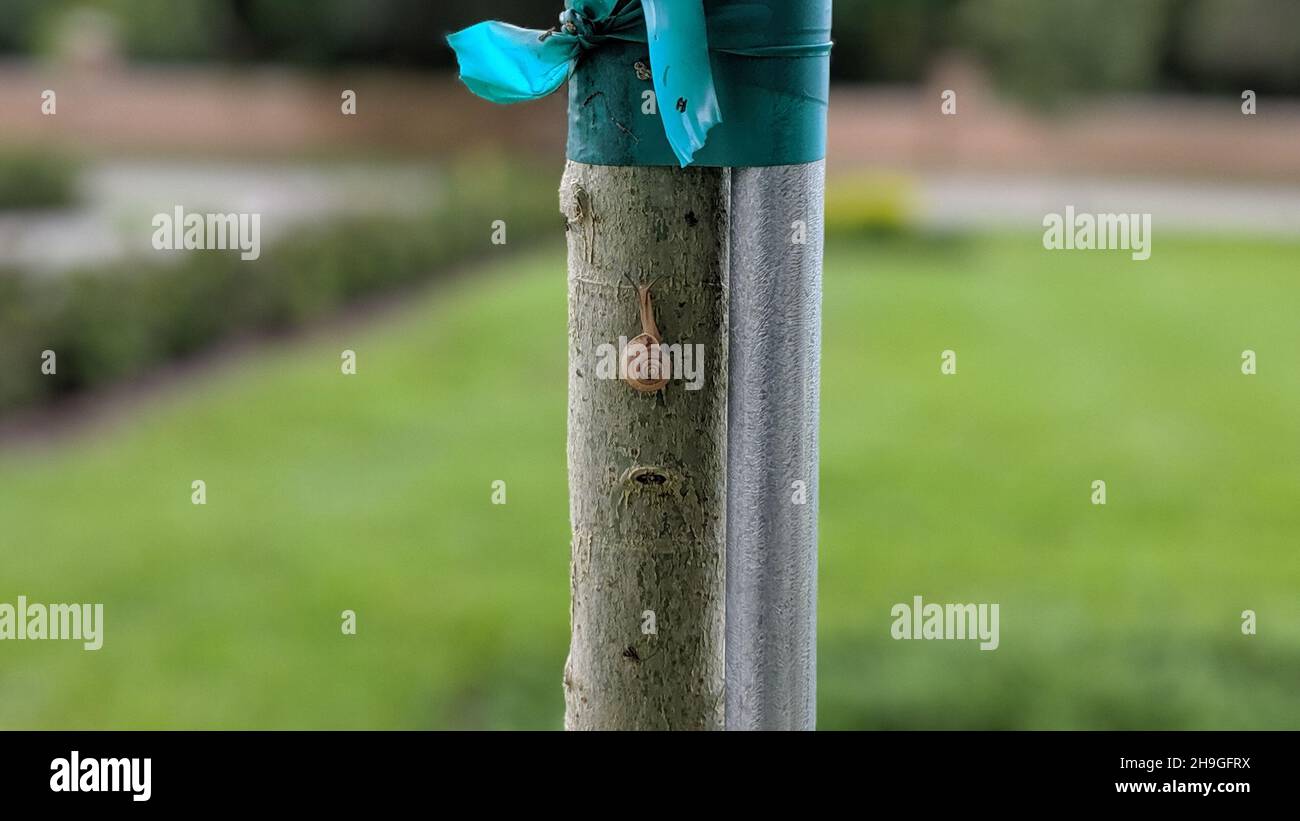 Column decoration hi-res stock photography and images - Alamy
