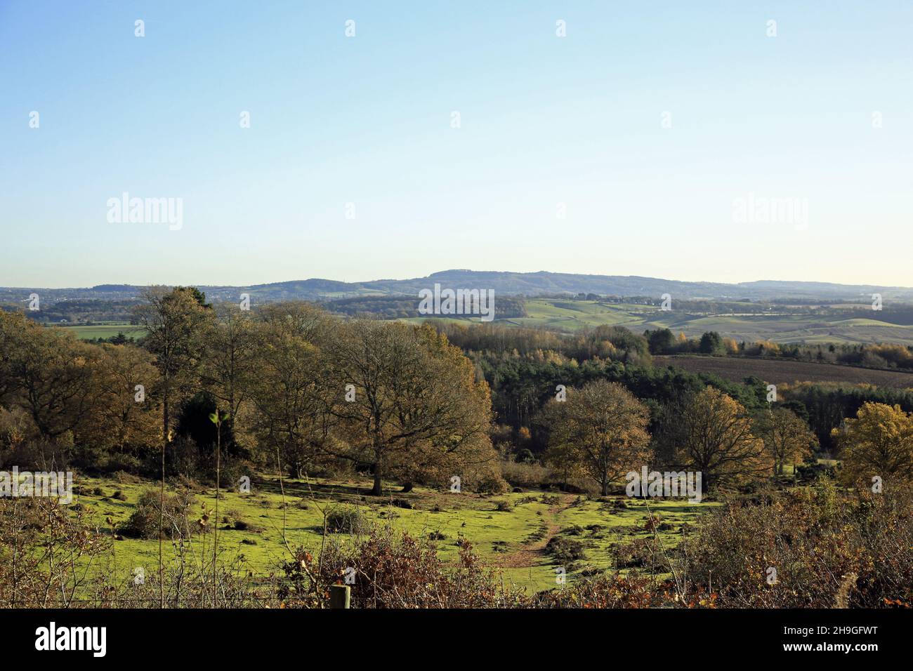 View over the lowland heath on Kinver edge, Staffordshire, England, UK. Stock Photo