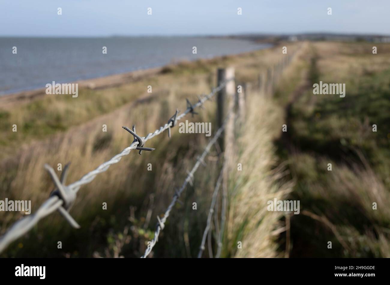 Close up of a barbed wire fence along the Saxon Shore Way near Seasalter in Kent UK Stock Photo