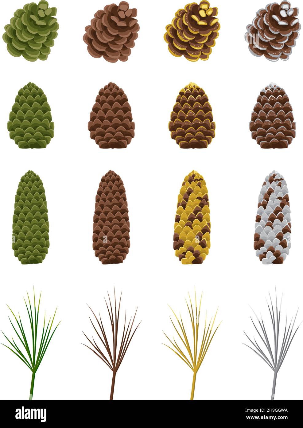 Set of brown and green cones of coniferous pine, spruce or cedar in gold sequins, with silver paint, fir needles or branch. Festive decoration for New Year, Christmas and design. Vector illustration Stock Vector