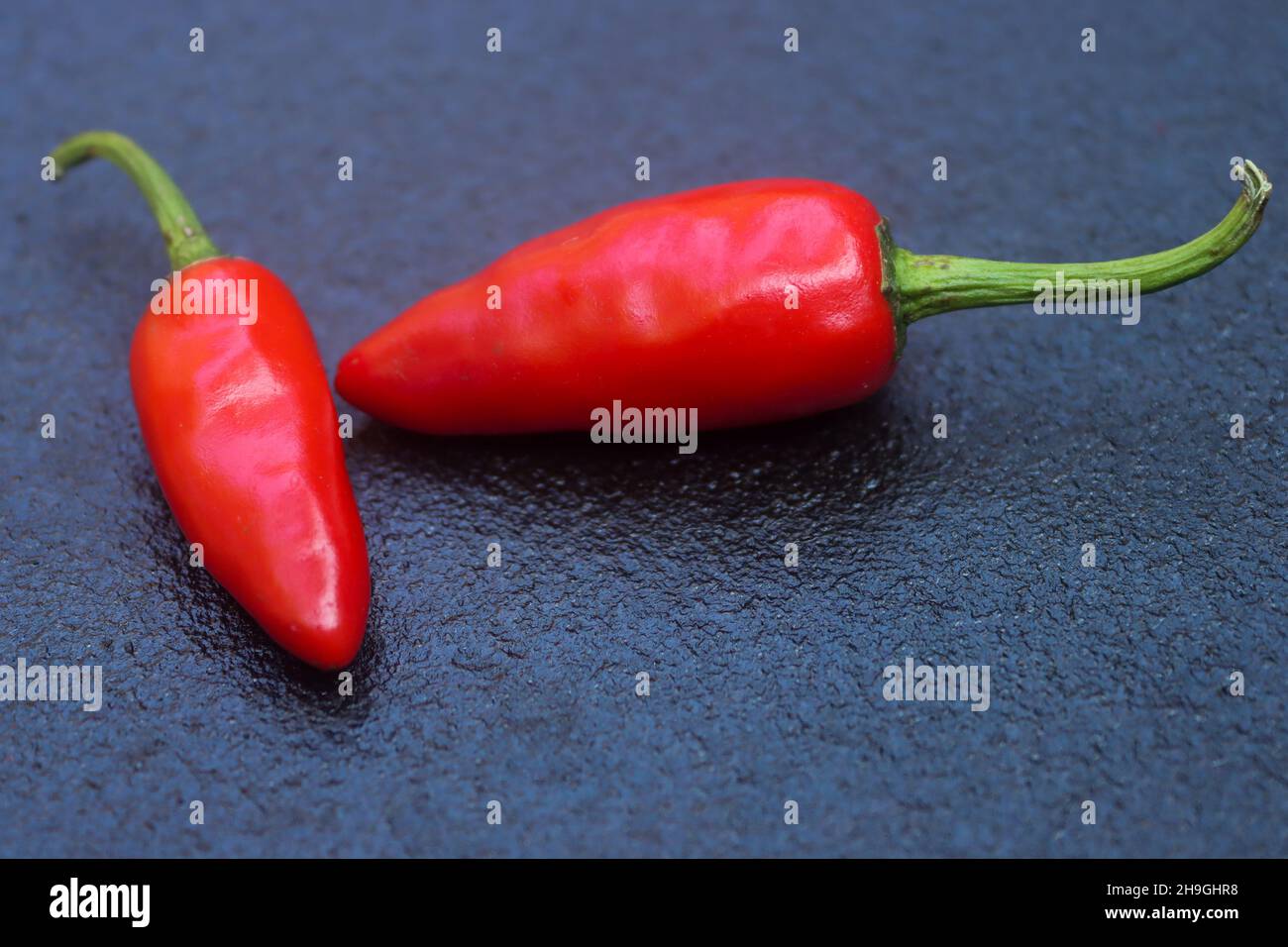 red chilly splitted red chilly Stock Photo