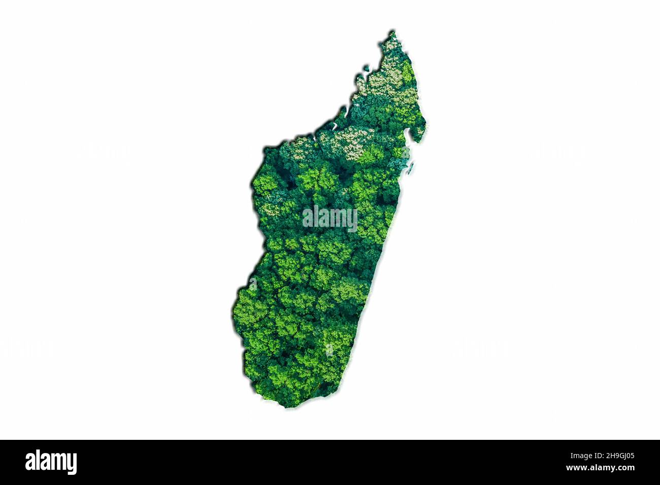 Green Forest Map of Madagascar, on white background Stock Photo