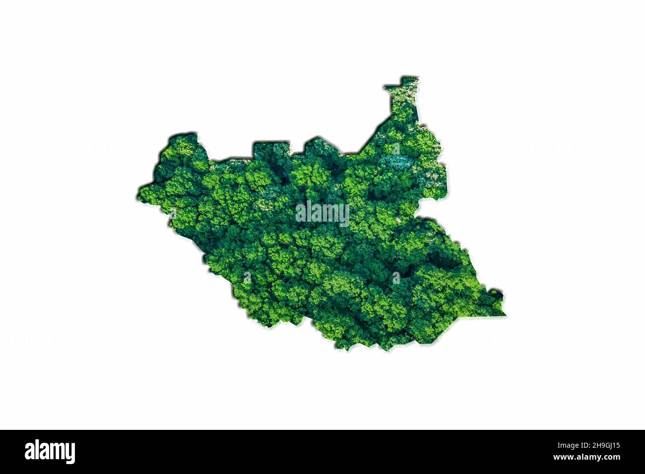 Green Forest Map of South Sudan, on white background Stock Photo