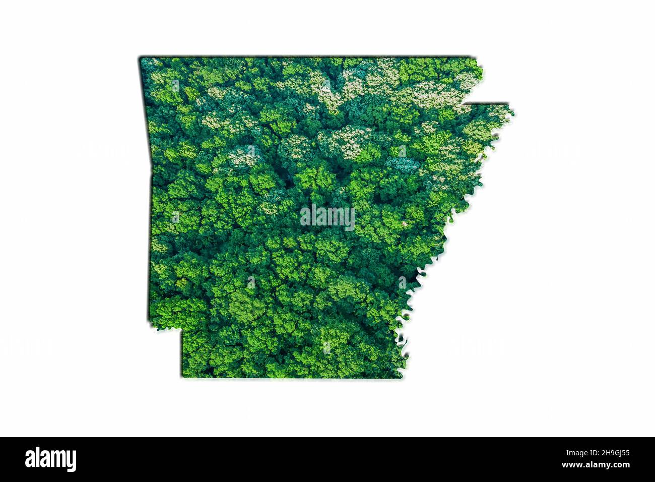 Green Forest Map of Arkansas, on white background Stock Photo Alamy