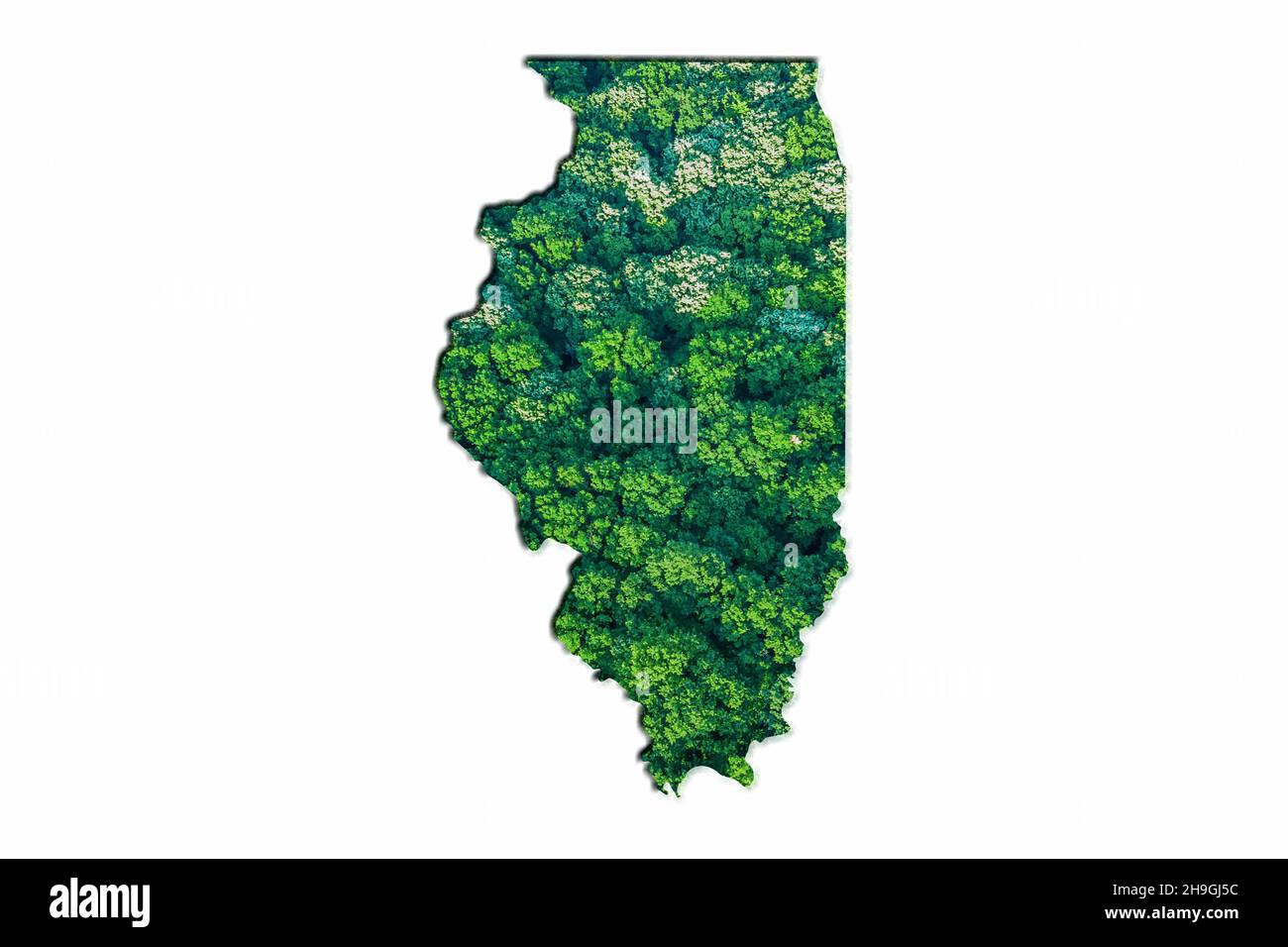 Green Forest Map of Illinois, on white background Stock Photo Alamy