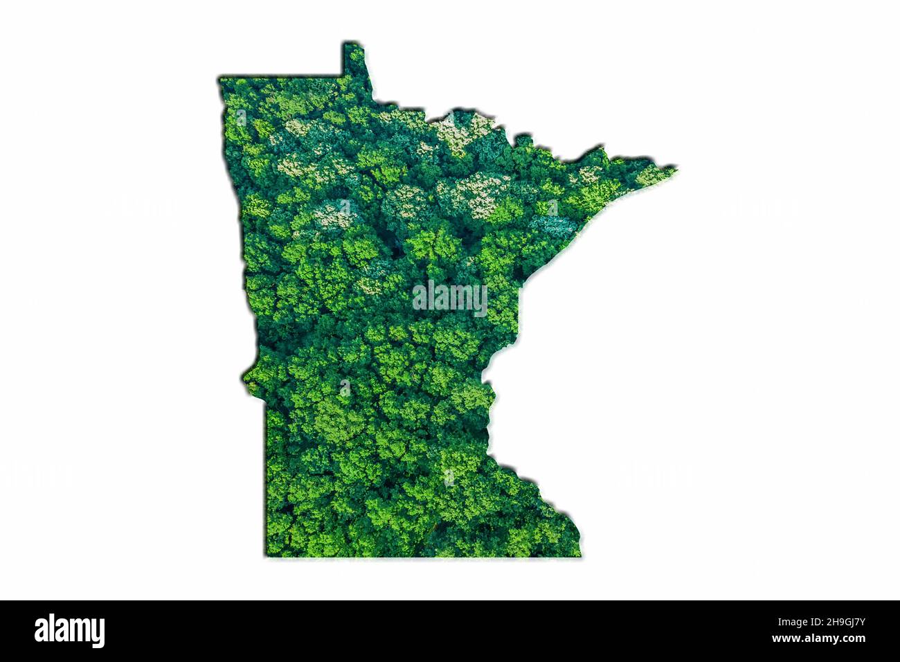 Green Forest Map of Minnesota, on white background Stock Photo