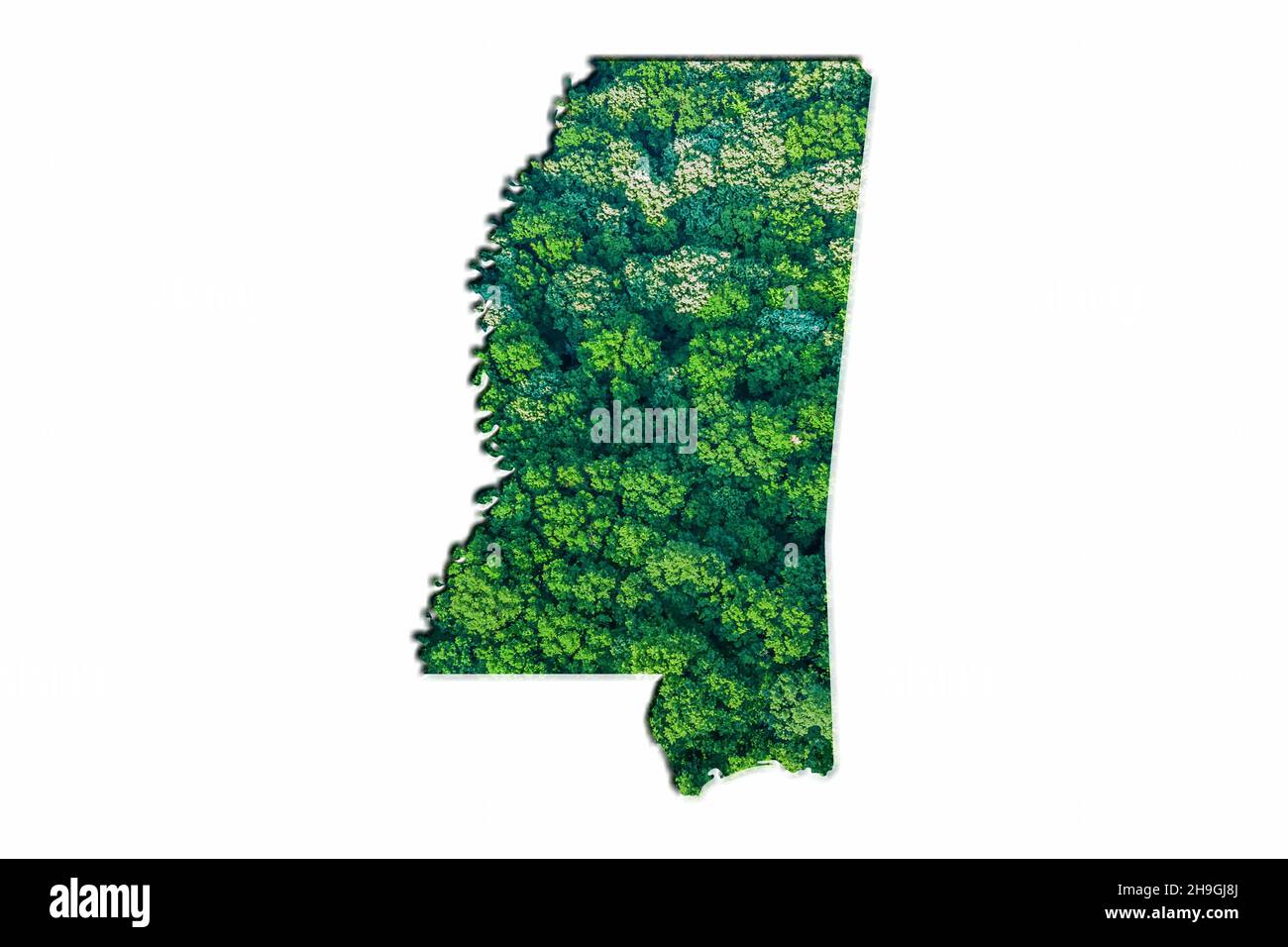 Green Forest Map of Mississippi, on white background Stock Photo Alamy