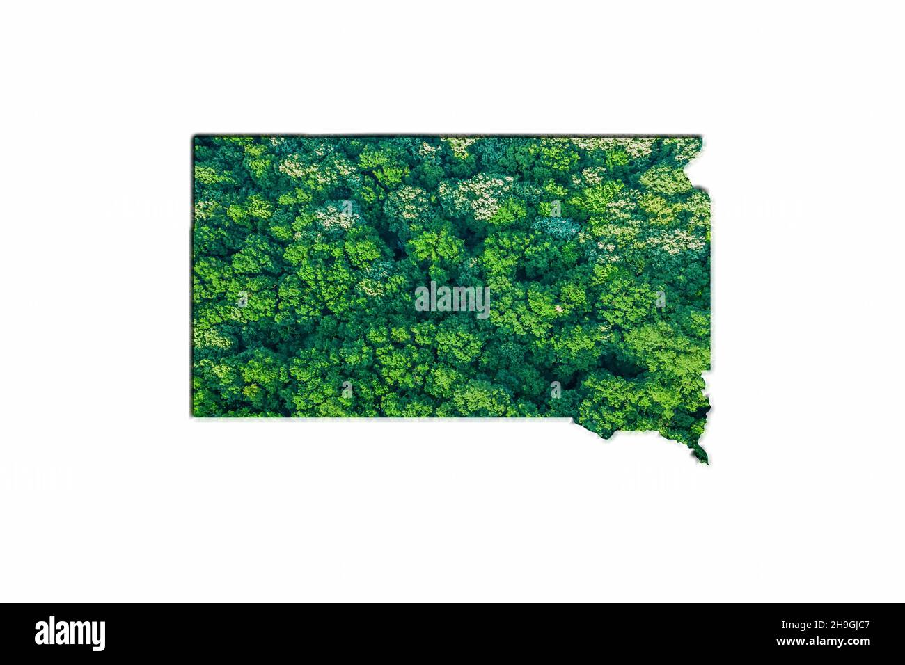 Green Forest Map of South Dakota, on white background Stock Photo Alamy