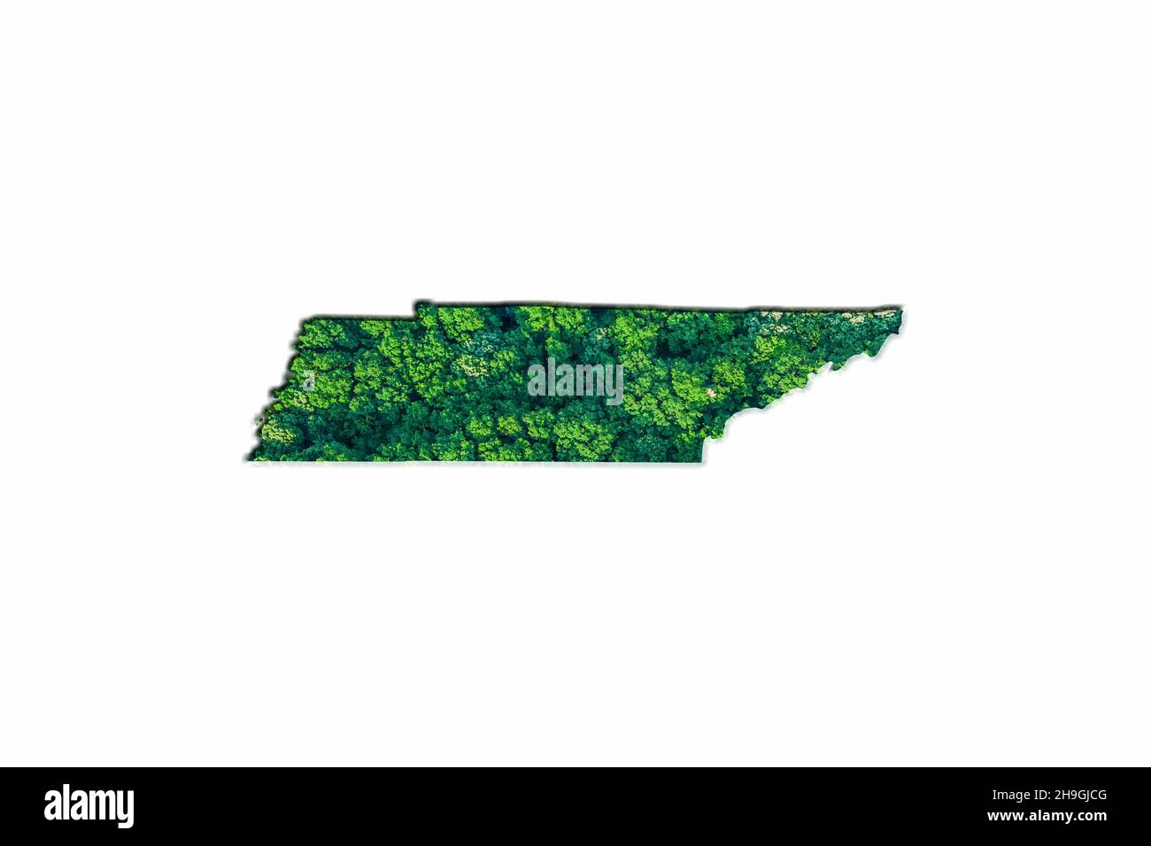 Green Forest Map of Tennessee, on white background Stock Photo