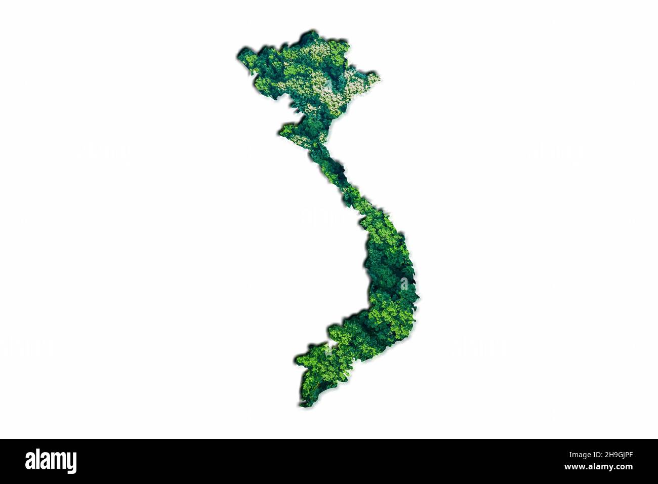 Green Forest Map of Vietnam, on white background Stock Photo - Alamy