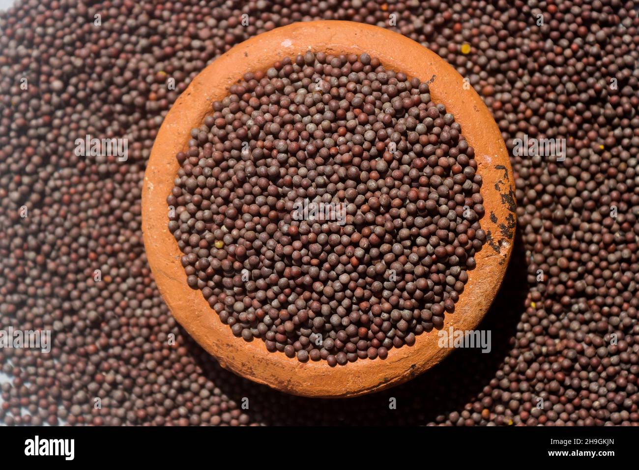 mustard seed and mustard seed oil Stock Photo Alamy