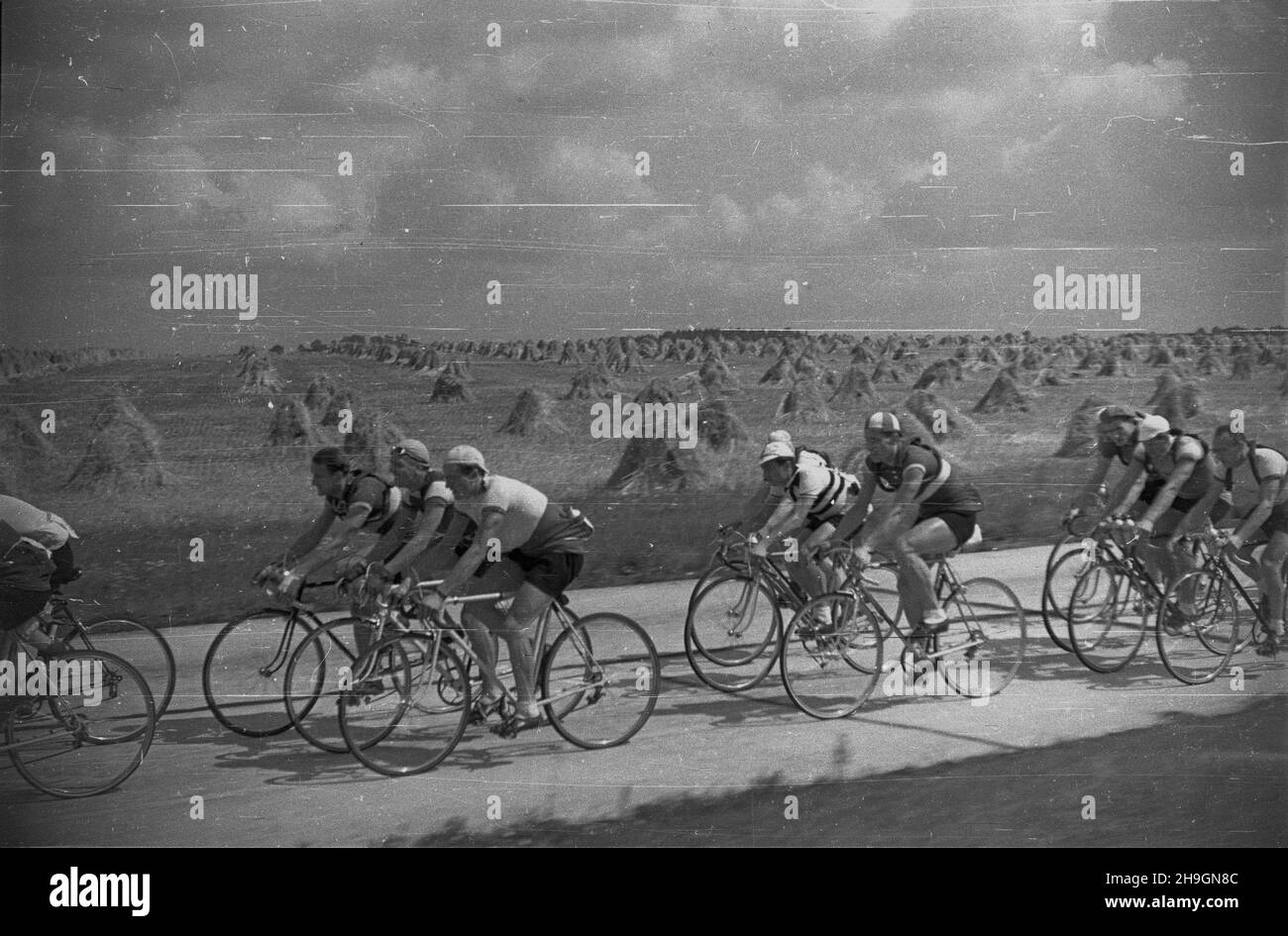 Polska, 1948-06-29. VII Wyœcig Kolarski Dooko³a Polski (Tour de Pologne) odbywa³ siê w dniach 22 czerwca - 4 lipca. Wystartowa³o 71 zawodników, przyjecha³y reprezentacje Czechos³owacji, Szwecji, Wêgier. Nz. kolarze na licz¹cej 170 km trasie 7. etapu z Wroc³awia do Bytomia. mw  PAP      Poland, June 29, 1948. The 7th Tour de Pologne cycling race was held on 22 June-4 July with 71 contenders taking part, including teams from Czechoslovakia, Sweden, Hungary. Pictured: cyclists during the 170-km 7th stage from Wroclaw to Bytom.   mw  PAP Stock Photo