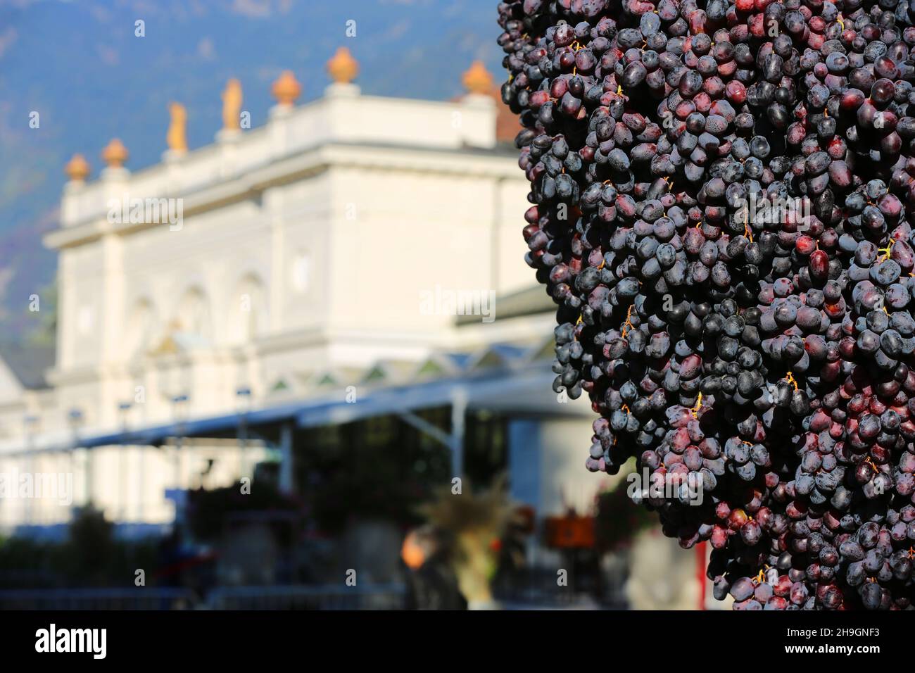 Meran, Kurstadt, Weinfest, Trachtenfest, Trachtenumzug, ein Kunstwerk aus Trauben,. Meran, Südtirol, Dolomiten, Italien Stock Photo