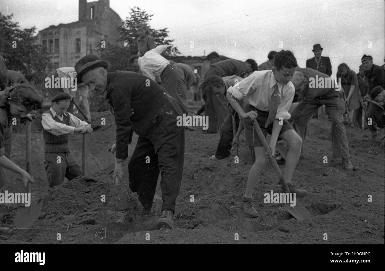 Warszawa, 1948-06-29. W ramach czynu spo³ecznego cz³onkowie Zwi¹zku M³odzie¿y Demokratycznej, Zwi¹zku Walki M³odych oraz Organizacji M³odzie¿y Towarzystwa Uniwersytetu Robotniczego podjêli siê wyrównania terenu wokó³ stawu oraz rozbiórki poniemieckich, podziemnych schronów miedzy pl. Unii Lubelskiej a ul. Chocimsk¹. Wraz z m³odzie¿¹ pracowali równie¿ weterani. uu  PAP    Warsaw, June 29, 1948. Members of Democratic Youth Union, Fighting Youth Union and Youth Organization of Worker University Society levelling ground around a pond and dismantling former German underground shelters in community Stock Photo