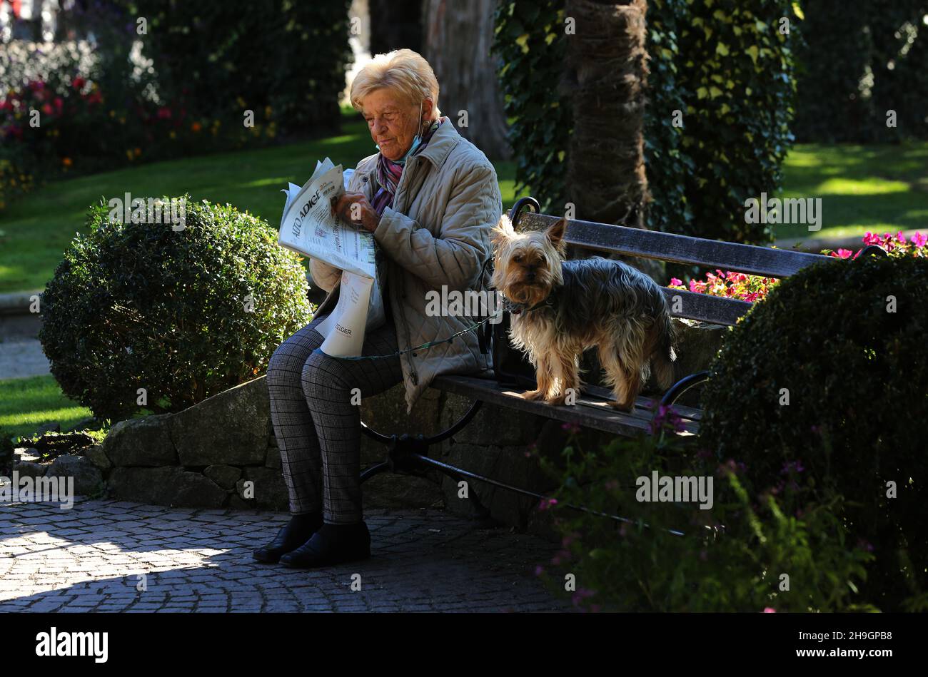 Meran, Kurstadt, Kurhaus, Hund, Alte Frau oder Kurgast liest Zeitung auf einer Bank, Meran, Südtirol, Dolomiten, Italien Stock Photo