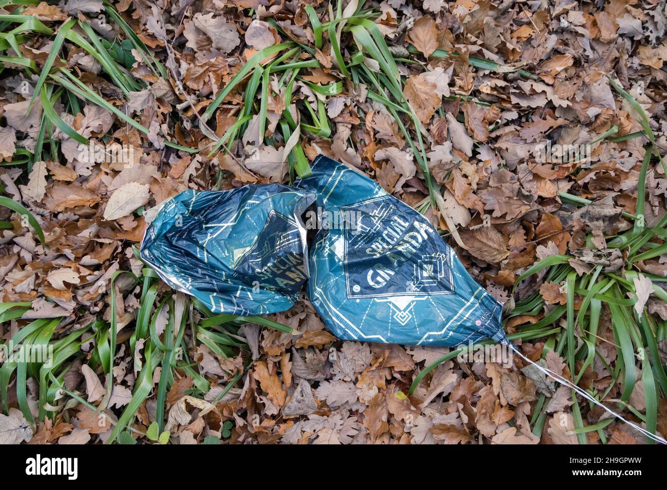 A tribute balloon to a special Granda littering a woodland floor. Balloon releases in tribute to a loved one can cause serious harm to animals that so Stock Photo