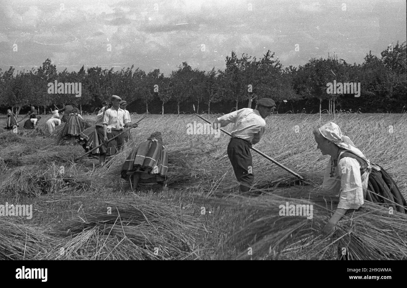 Reaping Harvest Black and White Stock Photos & Images - Alamy