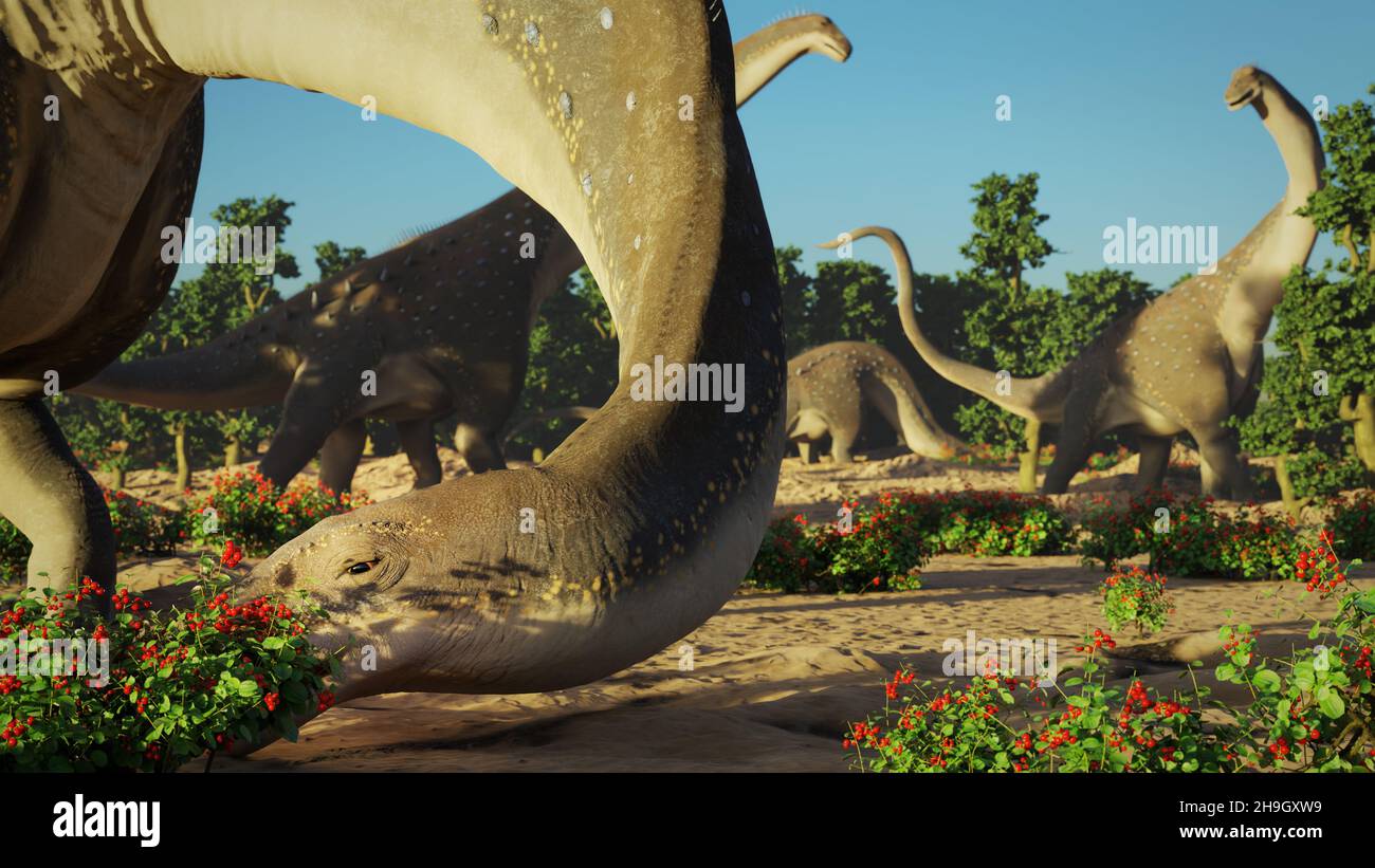 Alamosaurus eating berries, group of dinosaurs from the Late Cretaceous period at sunrise Stock Photo