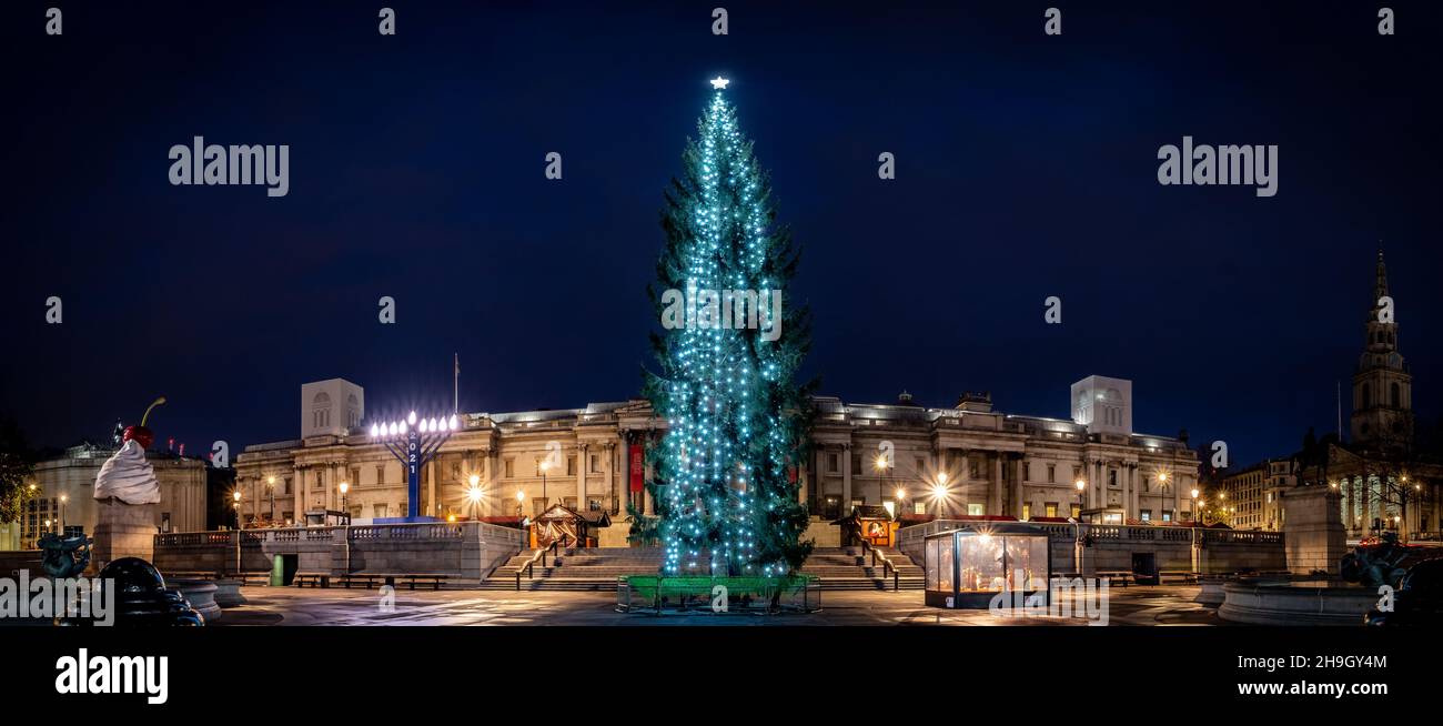 Trafalgar Square Christmas Tree and lights with Manger scene, Nelson's Column, London lights