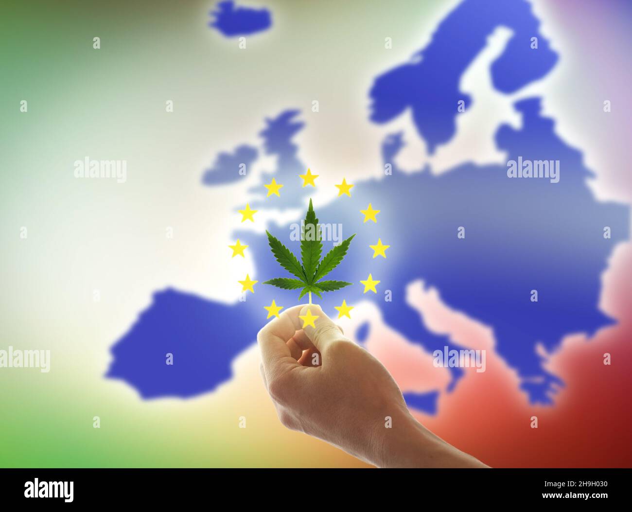 A woman's hand holds a cannabis leaf against the background of the EU flag. The concept of cannabis legalization in Europe Stock Photo
