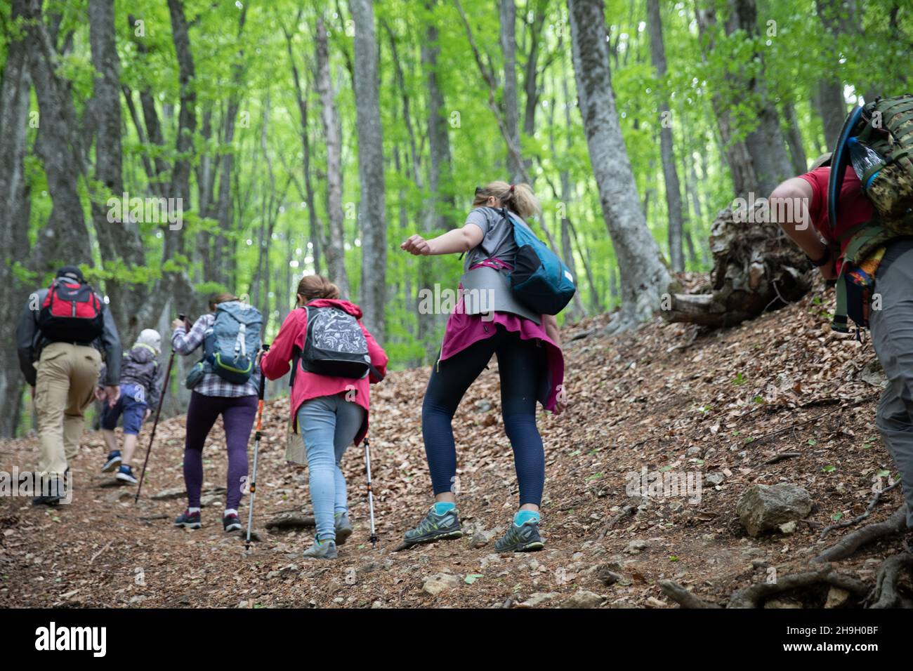a tourist group climbs a mountain on a hiking trip Stock Photo - Alamy