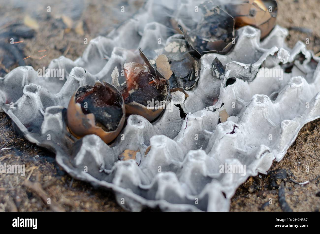 Ashes from a burnt egg tray and chicken shells. Five burning eggshells ...
