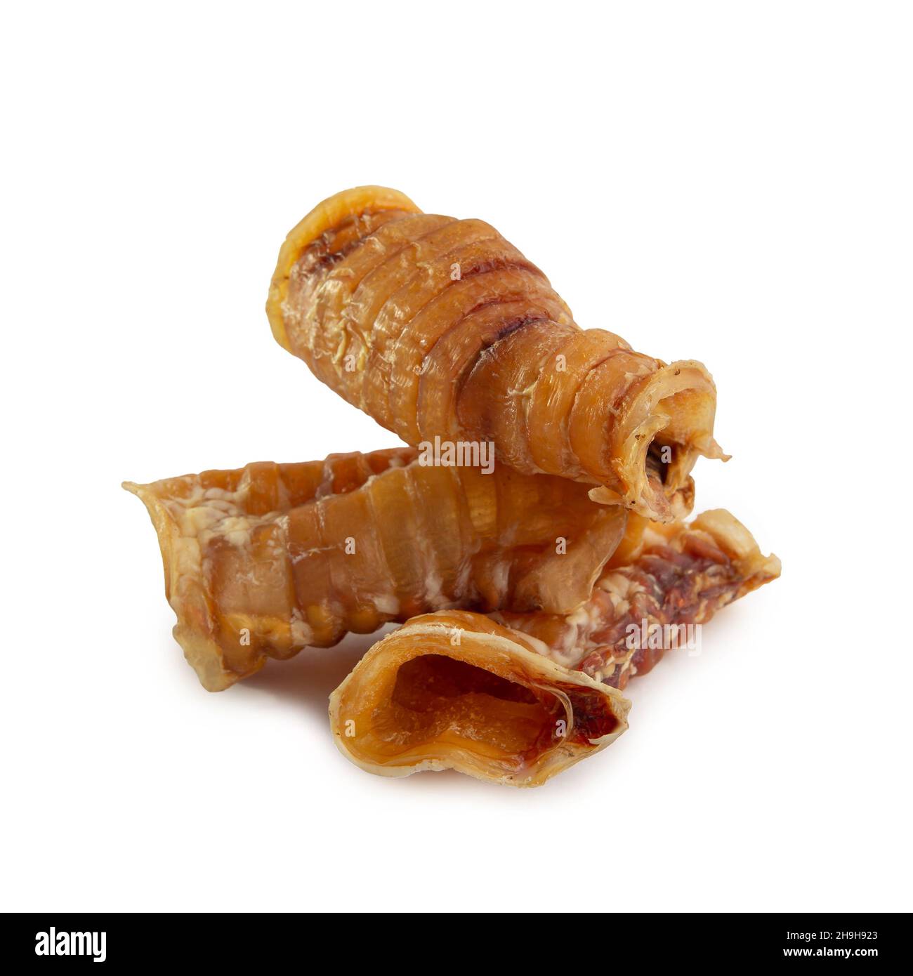 Food for dogs - dried beef offal (trachea) isolated on white background. Natural chewing treats. Stock Photo