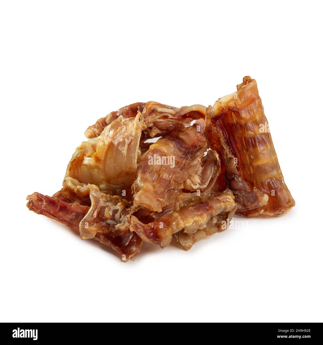 Food for dogs - dried beef offal (trachea) isolated on white background. Natural chewing treats. Stock Photo