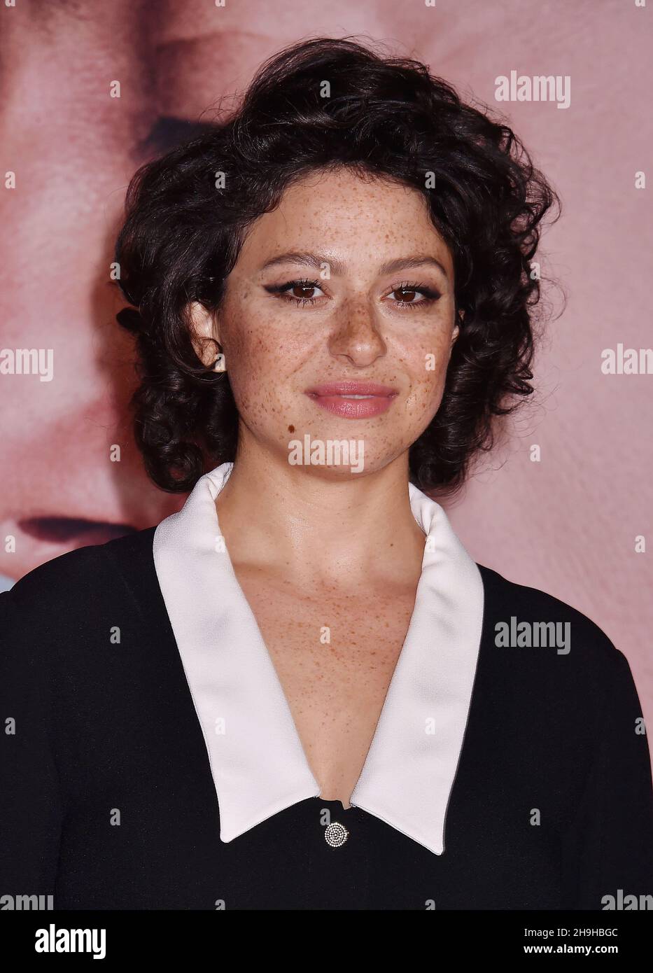 LOS ANGELES, CA - DECEMBER 06: Alia Shawkat attends the Los Angeles ...