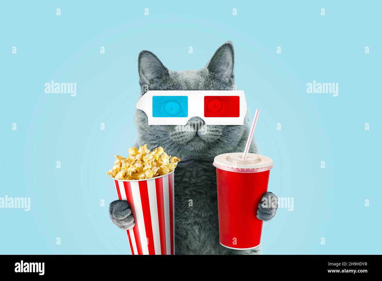 Funny hipster cat in 3D stereo glasses eating popcorn and a drinks coke at  the movies on a blue background Stock Photo - Alamy