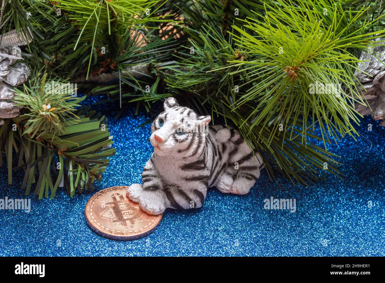 The water tiger is the symbol of the Chinese new year 2022. Toy tiger ...