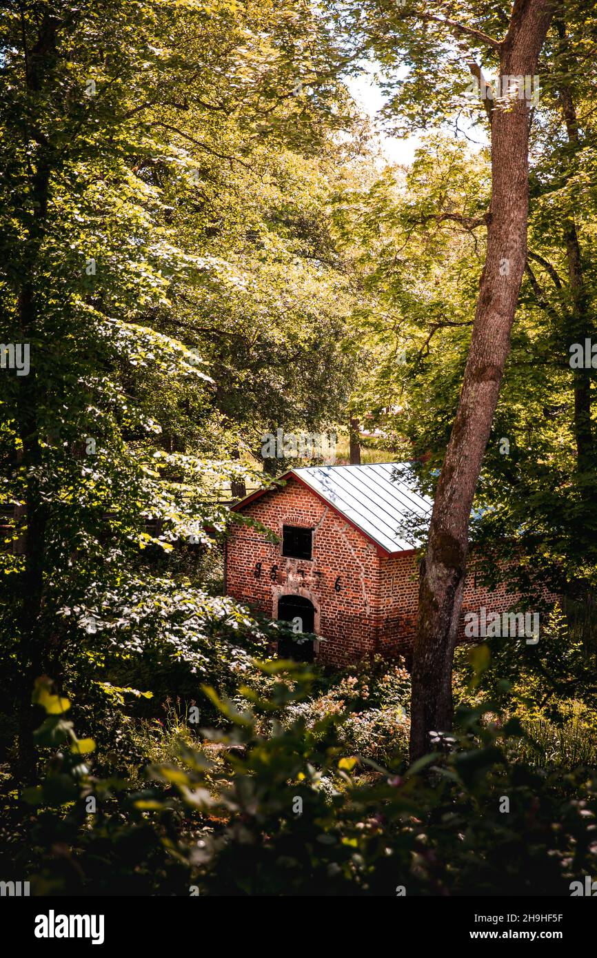 Vertical shot of a cabin in the green forest during dayli Stock Photo ...