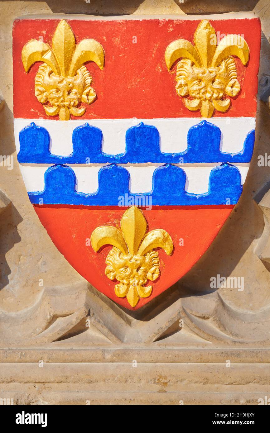 Badge or coat of arms at the shrine or tomb of St Hugh in Lincoln cathedral, England. Stock Photo