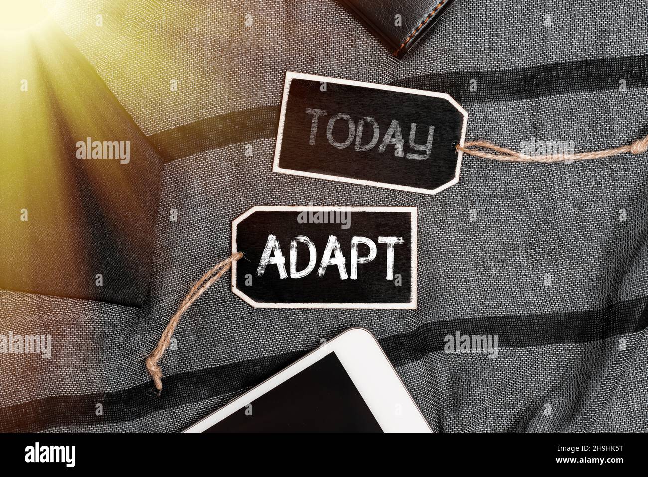 Conceptual display Adapt. Business showcase Make suitable for a new use ...