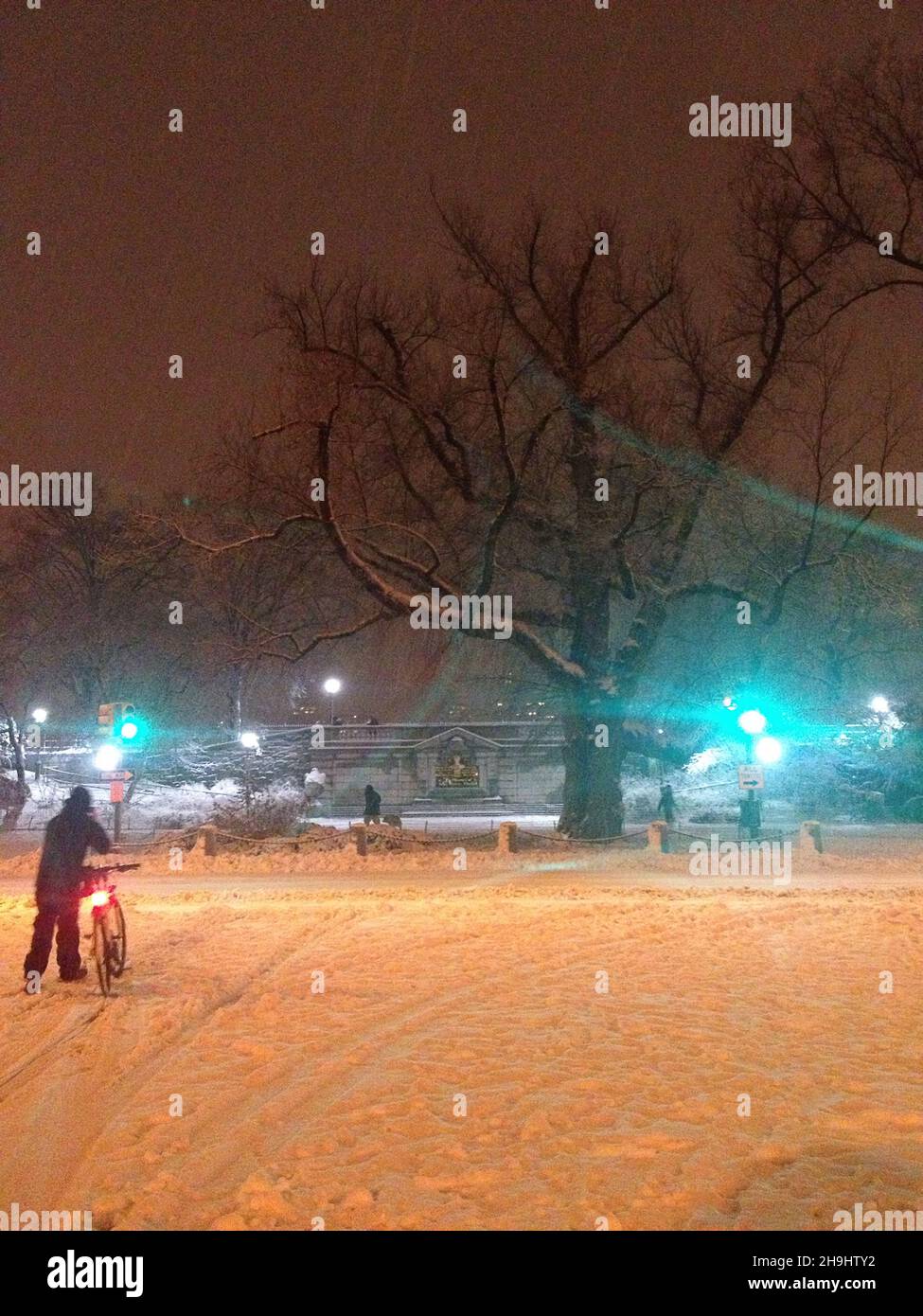 The New York blizzard arrives. A general view of central park after the ...