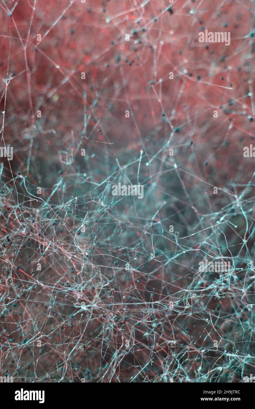 Neural network architecture hi-res stock photography and images - Alamy