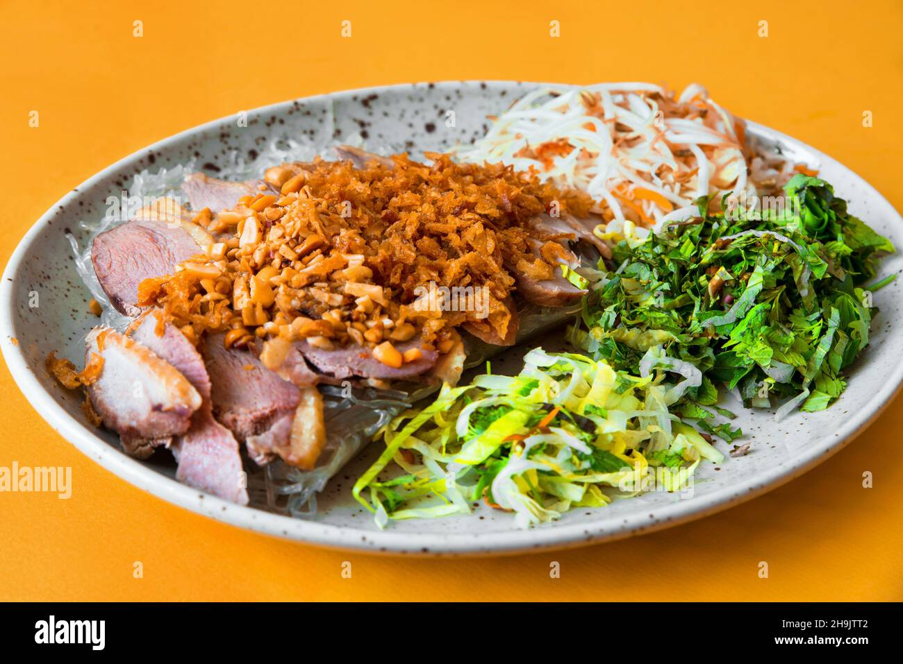 Sliced duck meat with roasted onion, green salad leaf, carrot and sprouted bean and glass noodle on plate on orange background, closeup. Asian cuisine Stock Photo