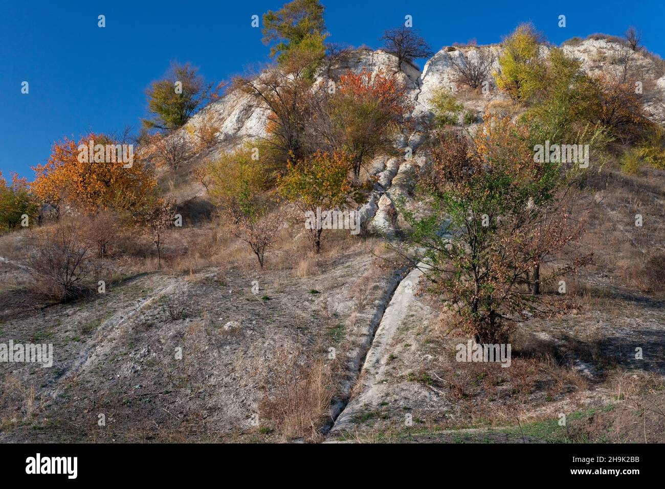 landscape of autumn trees mountains on a background of blue sky golden ...