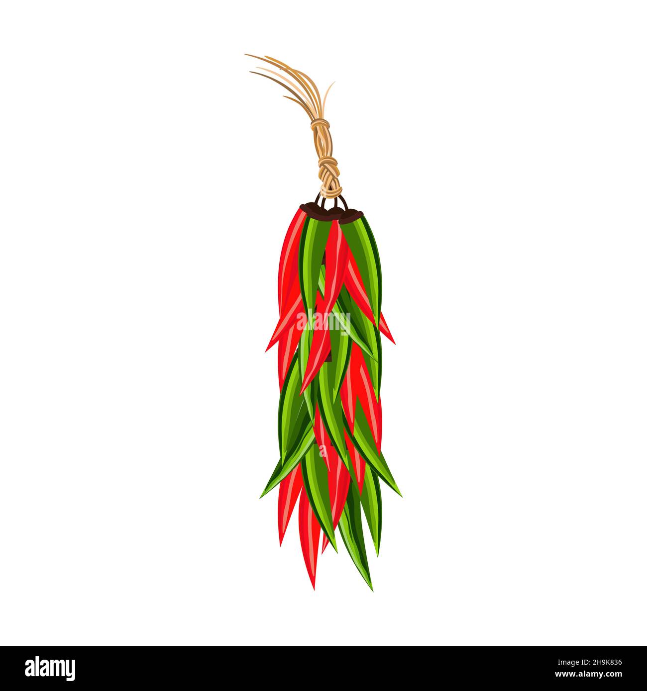 Hot chili peppers garland hanging ristra Stock Vector
