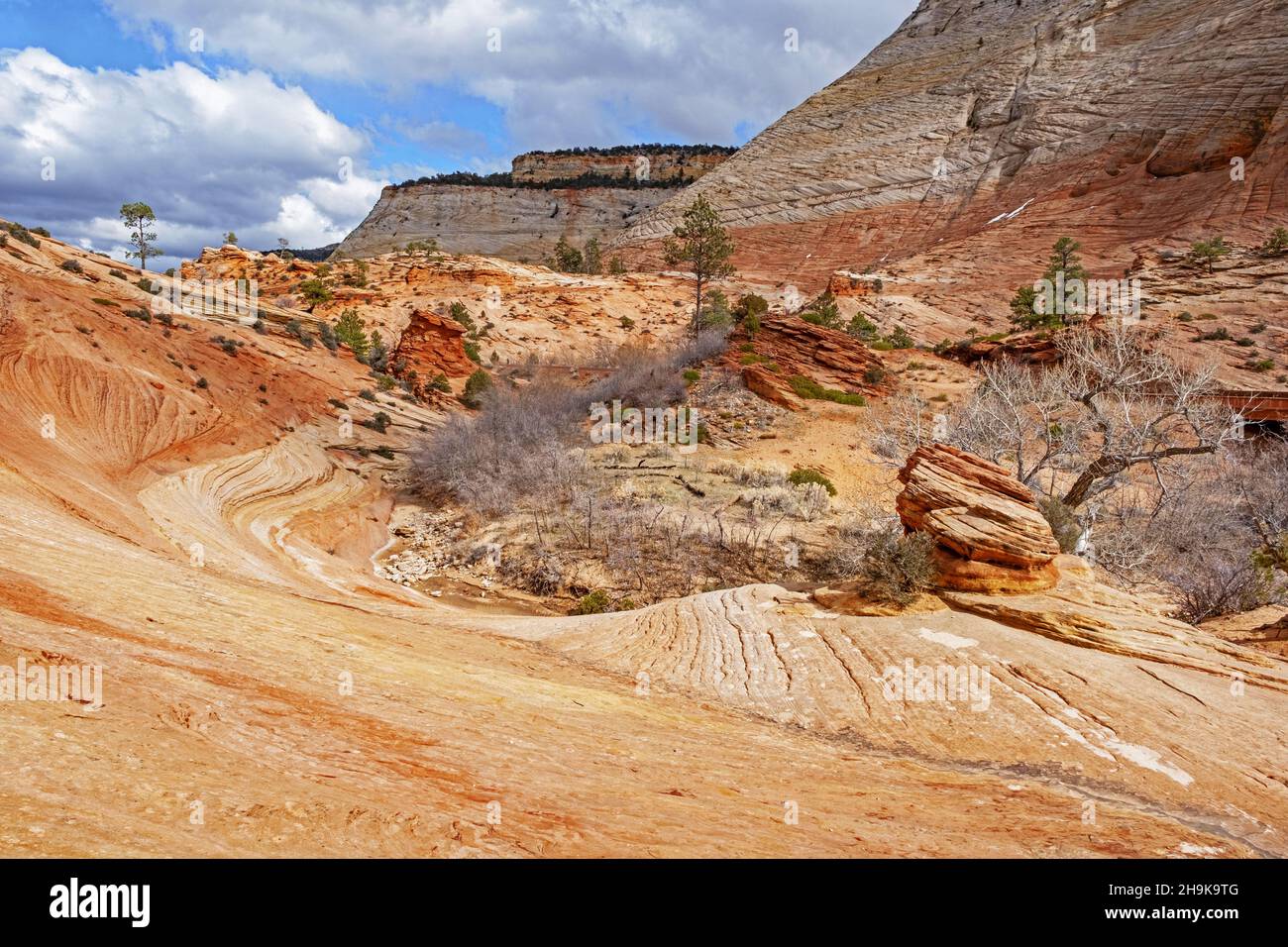 Red sandstone layered rock formations in Zion National Park, Utah, United States, USA Stock Photo