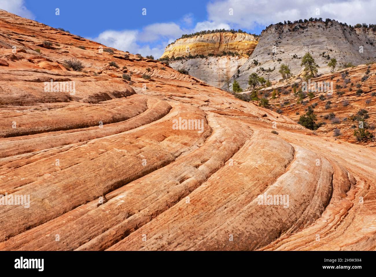 Red sandstone layered rock formations in Zion National Park, Utah, United States, USA Stock Photo