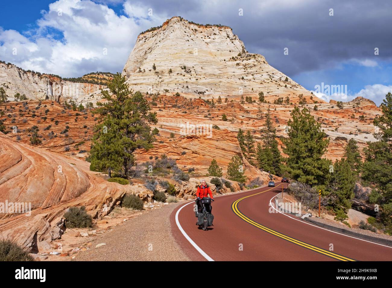 Solitary touring cyclist cycling on road through the red sandstone mountains of Zion National Park, Utah, United States, USA Stock Photo